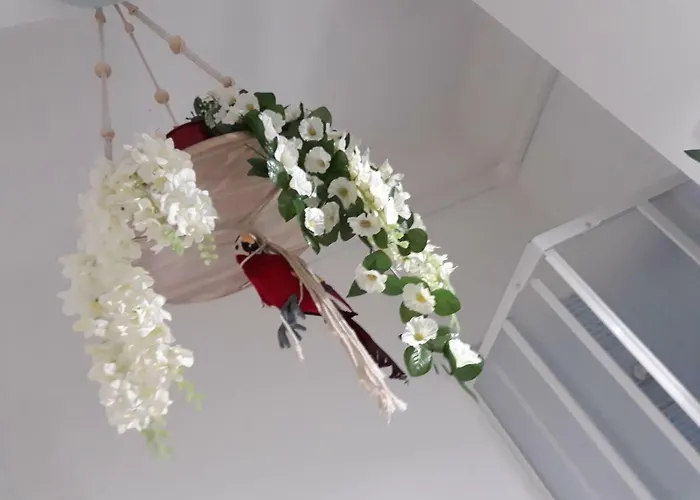 Salerno Inn B&B Bed & Breakfast Salerno