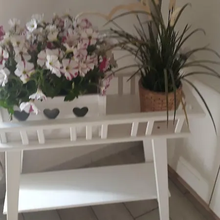 Bed & Breakfast Salerno Inn B&B *